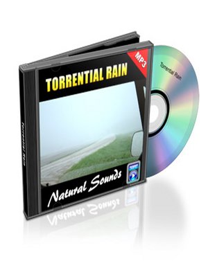 cover image of Torrential Rain--Relaxation Music and Sounds